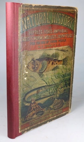 Item #28915 Natural History of the Animal Kingdom for the Use of Young People. Part III. Reptiles, Amphibia, Fishes, Insects, Worms, Molluscs, Zoophytes, &c., Adapted from the German of Professor von Schubert by. W. F. KIRBY.
