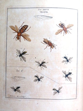 An Exposition of English Insects, With curious observations and remarks, wherein each insect is particularly described; its parts and properties considered; the different sexes distinguished, and the Natural History faithfully related. The whole illustrated... by the author.