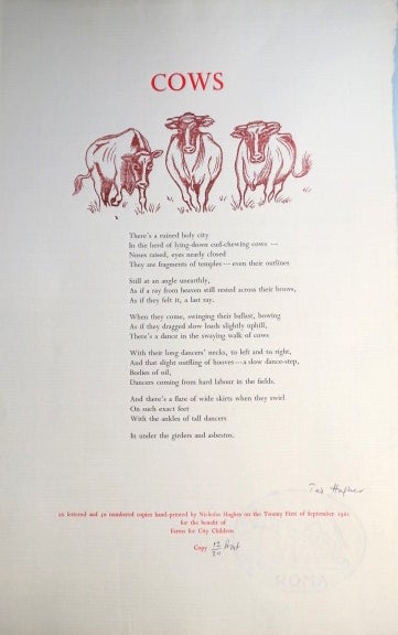 Item #32363 Cows. Ted HUGHES.
