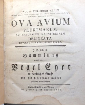 Item #34217 Ova Avium. Plurimarum ad Naturalem Magnitudinem Delineata et Genuinis Coloribus Picta. Jacobi Theodori KLEIN.
