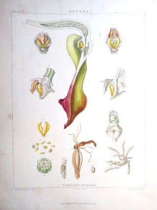 The Genera and Species of Orchideous Plants. Illustrated by drawings on stone from the sketches of Francis Bauer.
