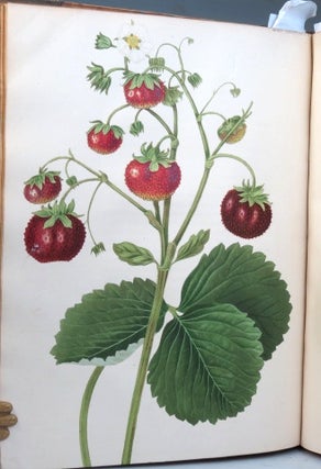 Transactions of the Horticultural Society of London. [with bound in volume I] Report of the Garden Committee on the Formation and Progress of the Garden; Drawn Up for the Information of the Fellows of the Society... March 31, 1823.