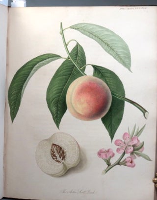 Transactions of the Horticultural Society of London. [with bound in volume I] Report of the Garden Committee on the Formation and Progress of the Garden; Drawn Up for the Information of the Fellows of the Society... March 31, 1823.