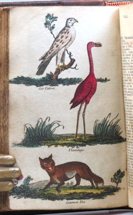 A Dictionary of Natural History; or, Complete Summary of Zoology: Containing a Full and Succinct Description of all the Animated Beings in Nature: Namely Quadrupeds, Birds, Amphibians, Animals, Fishes, Insects, and Worms...