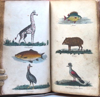 A Dictionary of Natural History; or, Complete Summary of Zoology: Containing a Full and Succinct Description of all the Animated Beings in Nature: Namely Quadrupeds, Birds, Amphibians, Animals, Fishes, Insects, and Worms...