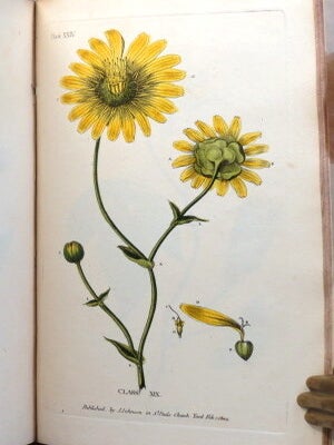 Elements of Botany; or, Outlines of the Natural History of Vegetables... By..., Professor of Materia Medica, Natural History, and Botany in the University of Pennsylvania. Refined and Corrected, with Addition of British examples and occasional notes by the English editor.