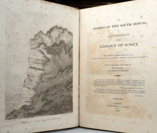 The Fossils of the South Downs; Or Illustrations of the Geology of Sussex.