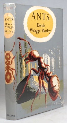 Item #41407 Ants. Derek Wragge MORLEY.