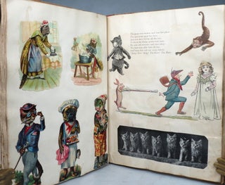 The Original English Struwwelpeter. Pretty Stories and Funny Pictures for Little Children.