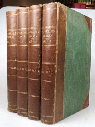 Item #44642 The Flowering Plants, Grasses, Sedges, and Ferns of Great Britain, and their Allies...